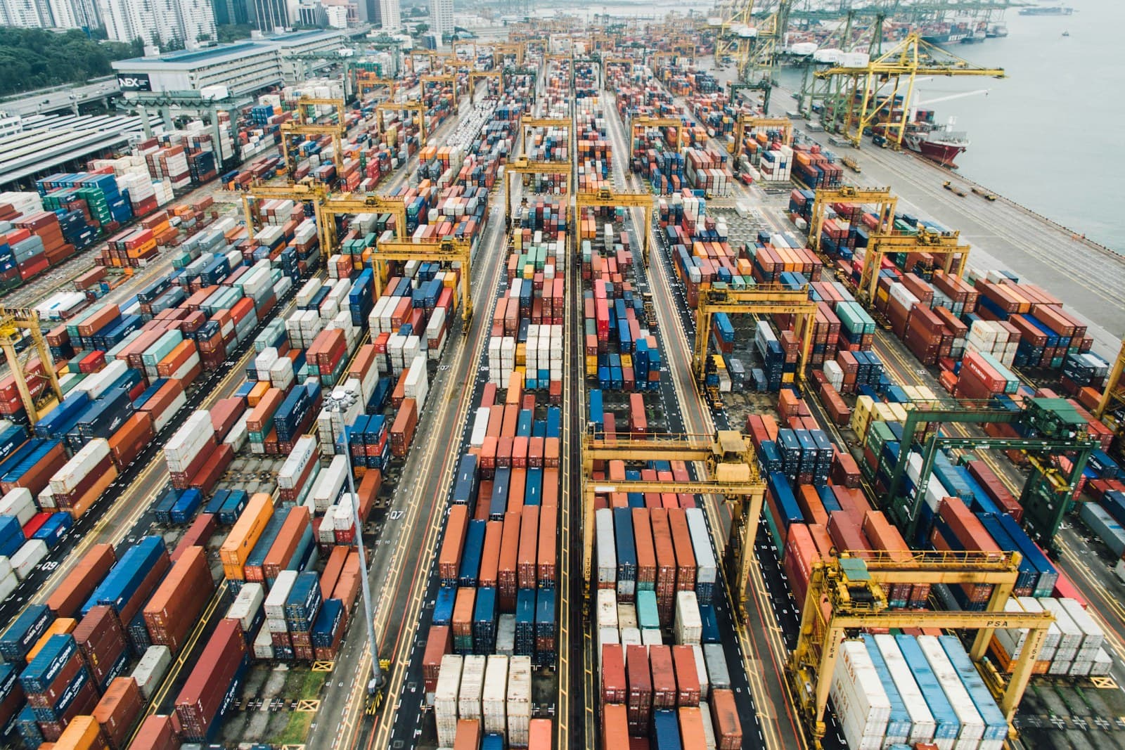 Export logistics and industrial opportunity